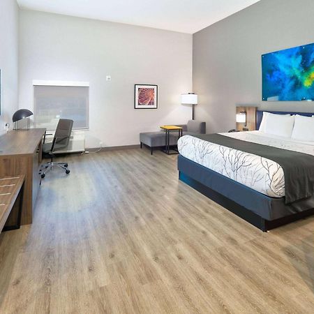 La Quinta Inn & Suites By Wyndham Dallas/Fairpark المظهر الخارجي الصورة